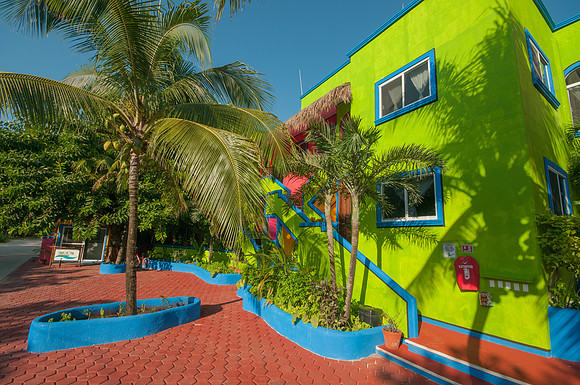20141112-VDM-5